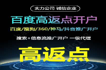 SEM托管服务实战案例：打造高效广告投放策略
